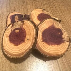 Natural Wood Coasters Set